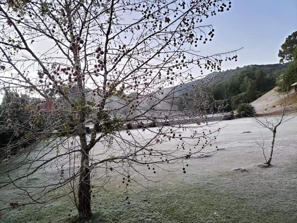 Hospedagem Vo Rosa Monte Verde  Luaran gambar